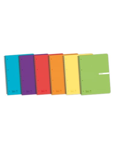 Enri - Status Europeanbook A4+ Couverture plastique translucide - Carnet de 120 feuilles - Format 5x5 - Couleurs assorties - Idé