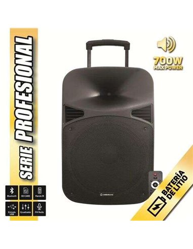 Coolsound - Enceinte Bluetooth auto-alimentée Pro Series 15" Puissance maximale 700 W avec batterie - USB, entrée micro Jack 6,3