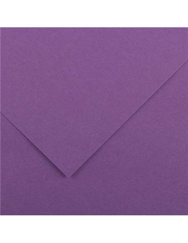 Canson - Guarro Pack de 25 Cartes Iris de 185g - 50x65cm - Couleur Violet