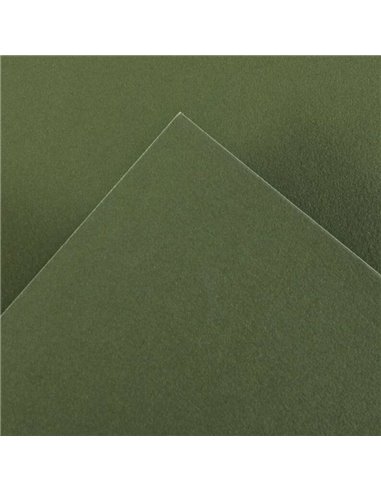 Canson - Guarro Pack de 25 Cartes Iris de 185g - 50x65cm - Coloris Vert Safari