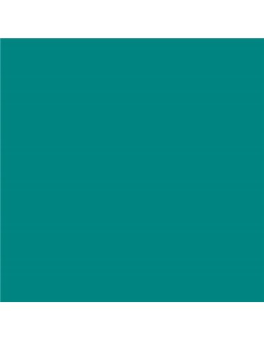 Canson - Guarro Pack de 25 Cartes Iris de 185g - 50x65cm - Coloris Vert Menthe