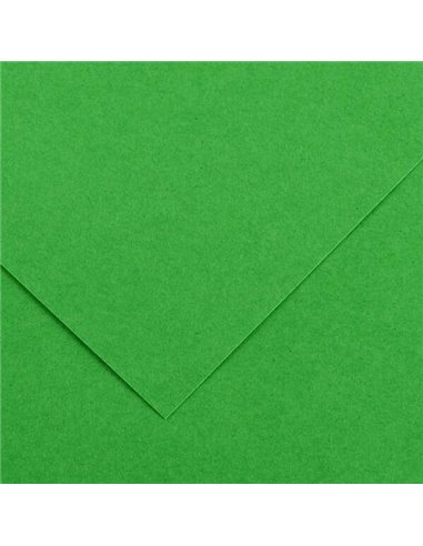 Canson - Guarro Pack de 25 Cartes Iris de 185g - 50x65cm - Coloris Vert Billard