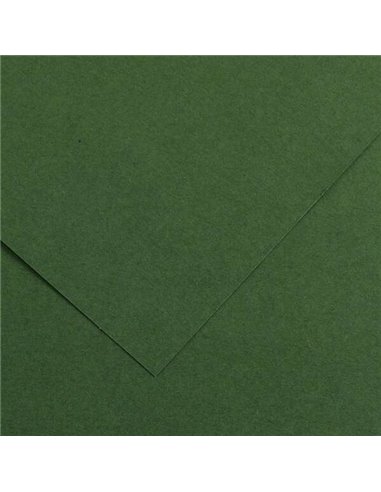 Canson - Guarro Pack de 25 Cartes Iris de 185g - 50x65cm - Coloris Vert Amazone