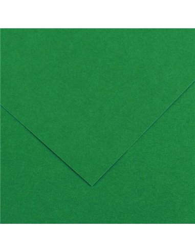 Canson - Guarro Pack de 25 Cartes Iris de 185g - 50x65cm - Coloris Vert Sapin