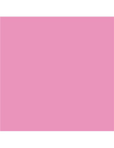 Canson - Guarro Pack de 25 Cartes Iris de 185g - 50x65cm - Coloris Rose Bubblegum