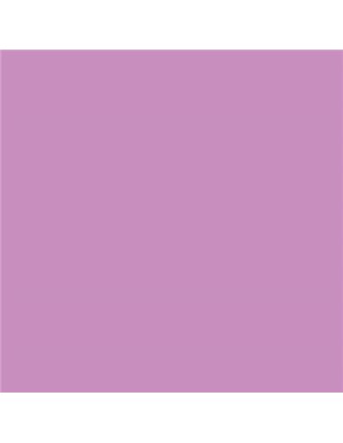 Canson - Guarro Pack de 25 Cartes Iris de 185g - 50x65cm - Couleur Mauve