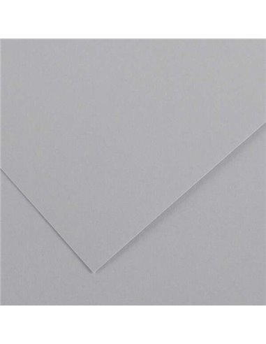 Canson - Guarro Pack de 25 Cartes Iris de 185g - 50x65cm - Coloris Gris Perle