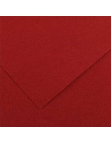 Canson - Guarro Pack de 25 Cartes Iris de 185g - 50x65cm - Couleur Marron