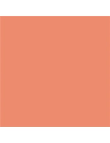 Canson - Guarro Pack de 25 Cartes Iris de 185g - 50x65cm - Couleur Corail