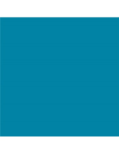 Canson - Guarro Pack de 25 Cartes Iris de 185g - 50x65cm - Coloris Bleu Caraïbes