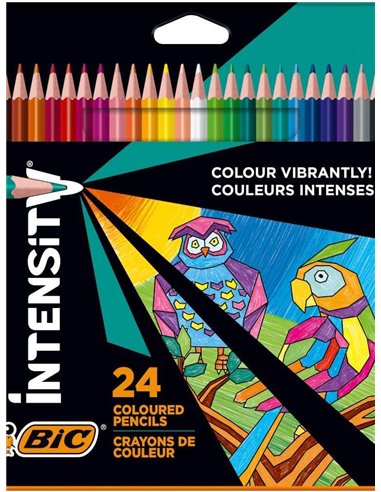 Bic - Intensity Triangle Boîte de 24 Crayons de Couleur Triangulaires - Mine 3,20 mm - Fabriqués sans Bois - Couleurs Assorties