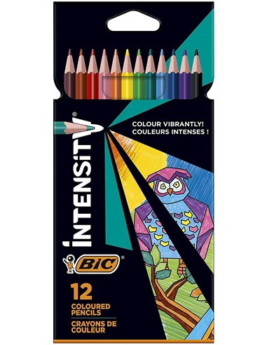 Bic - Intensity Color Up Boîte de 12 Crayons Triangulaires de Couleurs Assorties - En Résine - Mine Ultra-résistante de 3,20 mm