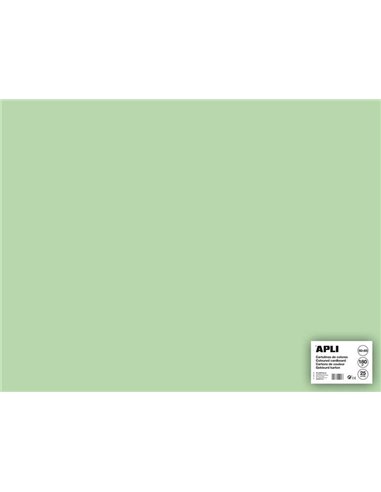 Apli - Papier Cartonné Vert Émeraude 50 x 65cm 170g 25 Feuilles