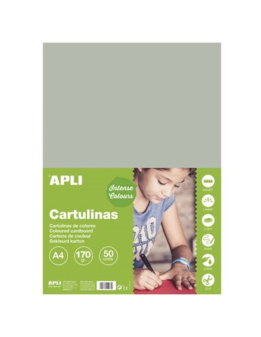 Apli - Carton Gris A4 170g 50 Feuilles