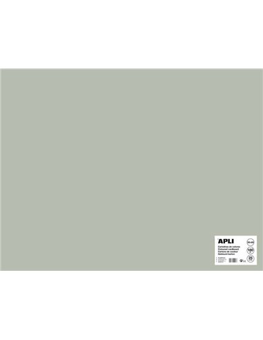 Apli - Carton Gris 50 x 65cm 170g 25 Feuilles