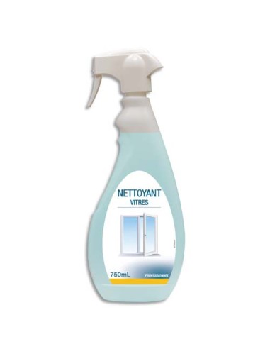 HYG SPRAY 750ML NETTOY VITRES 002061495