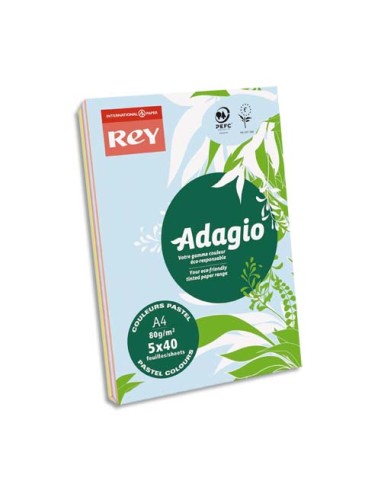 INA R/200 ADAG A4 80G PASTELVIF 8001654