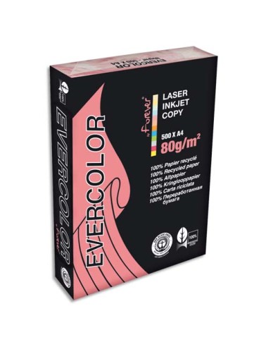 CLF R/500F EVERCOLOR 80G A4 ROSE 40003