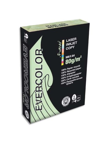 CLF R/500F EVERCOLOR 80G A4 VTCLAIR40004