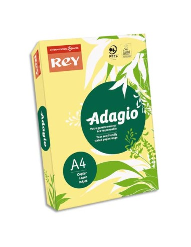 INA R/500F ADAG A4 80G BANANE F 8001547