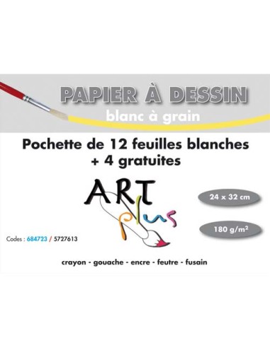 ART P/12F+4DESIN 180G 24X32 684723SPICEC