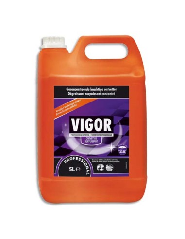 VGR BIDON 5L DETERG SURP VIGOR 100848164