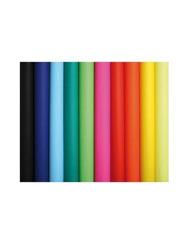 Rouleau de 10 feuilles affiche couleur 75g 60x80 cm couleurs assorties