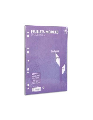 Feuillets mobiles bleu perf 2trous 80g 100pges grands carreaux format A4-Sous film-CAL7000