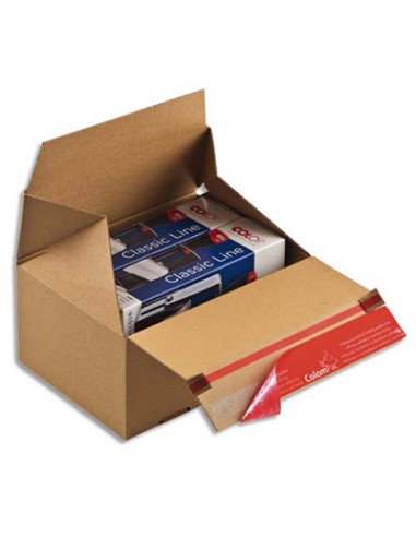 COLOMPAC Carton d'expédition Eurobox S Brun simple cannelure, fermeture adhésive L19,5 x H9 x P9,5 cm