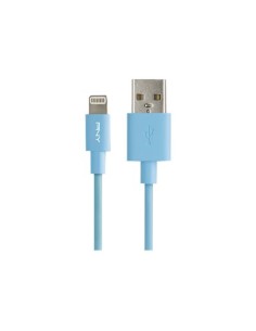 MOBILITY Câble PNY USB 2.0 vers Lightning 1,20M BL C-UA-LN-B01-04