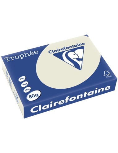 CLAIREFONTAINE Ramette de 500 feuilles papier couleur TROPHEE 80 grammes format A4 Gris perle 1788