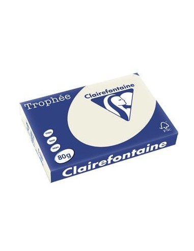 CLAIREFONTAINE Ramette de 500 feuilles papier couleur TROPHEE 80 grammes format A3 Gris perle 1251