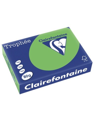 CLAIREFONTAINE Ramette de 500 feuilles papier couleur TROPHEE 80 grammes format A4 Vert menthe 1875