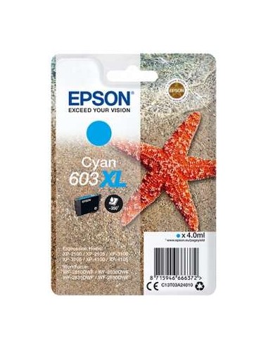 Epson 603XL - C13T03A24010 - Étoile de mer - Cyan - Cartouche